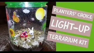 Planters' Choice Light-up Terrarium Kit for Kids