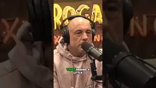 Wild Backyard Feud Takes Unpredictable Turn! #jre #joerogan #podcast #facts #desert #motivation