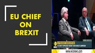 EU chief expresses regret over Brexit campaign
