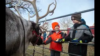 Reindeer visit the Hackley Public Library