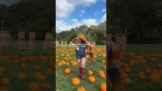 this has to be the cutest pumpkin patch in london🎃#pumpkinpatch #londonpumpkinpatch #fallaesthetic