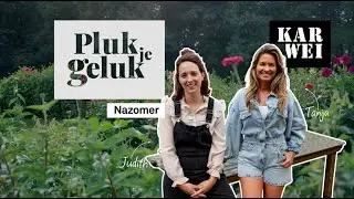 KARWEI | Pluktuin: wat doen in september? | Pluk je Geluk