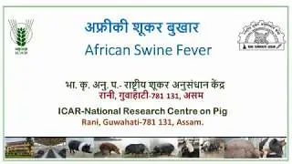 DLG African Swine Fever - ICAR - (NRCP) -  Dr. N. H. Mohan, Phd. - HINDI
