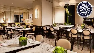 Hotel Omni Mont-Royal | Montreal (QC), Canada | Hotel Review 🏩