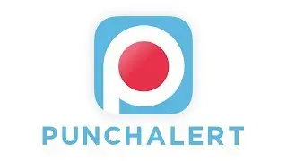 What is PunchAlert?