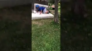 Idiot eats shit
