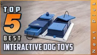 Best Interactive Dog Toys Review in 2022 | Top 5 Picks for Any Budgets