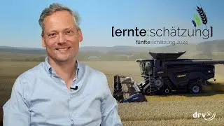 Nach Erntebeginn: Ertr&auml;ge bislang entt&auml;uschend &ndash; F&uuml;nfte DRV-Erntesch&auml;tzung 2024