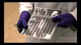 Les technologies photovoltaïques organiques souples émergent