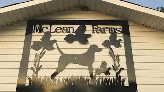 Field Trial Central Live w/Marl McLean