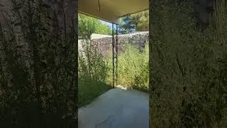 first little video for yall will get better