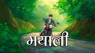Mayali | मयाली (LoFi Slowed + Reverb) | Nepali Chill Beats