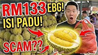 GILA MUSANG KING 1BAG RM133 😱 HARGA RUNTUH BORONG 