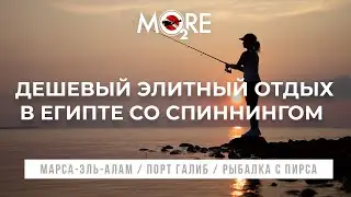 Элитный (но) дешевый отдых в Египте. Марса Алам. Порт Галиб. Обзор территории и рыбалки с пирса.
