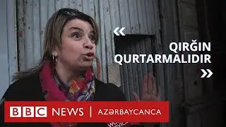 Bakıda sorğu: 