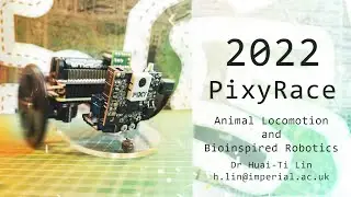 Bioengineering PixyRace 2022
