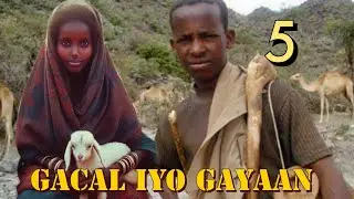 Sheekadii Gacal Iyo Gayaan Shukaansigii Qarniyadii Hore Qeybta 5aad