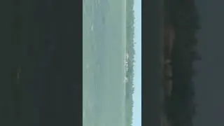 video das avenidas de Aracaj&uacute; Sergipe 8 #short