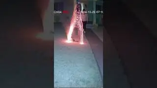 Backyard CCTV Shows Cat Starting Fireworks 😱