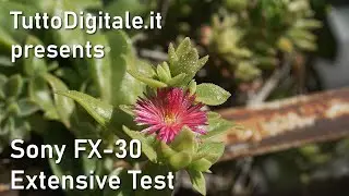 SONY FX30 4K Extensive Video Test - Low Light Footage