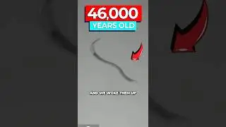 Ученые возродили доисторического червя спустя 46 000 лет