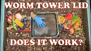 VermiHut Worm Tower Lid Explored + Colorful Feeding | Vermicompost Worm Farm