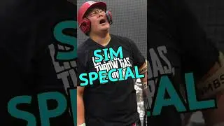 HOW GOOD IS $69 WALMART BAT?