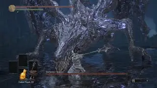 Partner's  Midir Victory