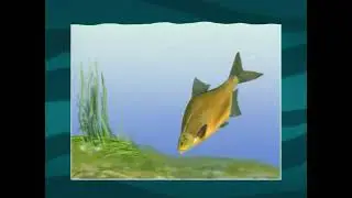 Почему сильно выдвижной рот Леща (Common bream) &mdash; Abramis brama позволяет экономить много энергии ?
