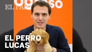 El PERRO LUCAS, el arma secreta de RIVERA en el DEBATE