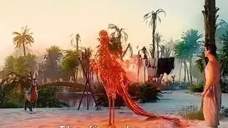 this man recused a bird not knowing it was fire phoenix god