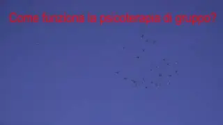 Come funziona la psicoterapia di gruppo?