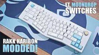 Модифицированный Rakk Haribon при участии MOONDROP Switches!