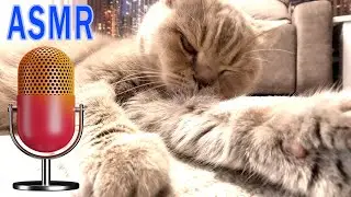 ASMR 😺 Cat Cleaning Fur & Biting Nails Close Up | Relaxing Grooming Sounds for Sleep