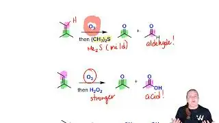 How Does The Ozonolysis Reaction Work? | Explanation and Examples