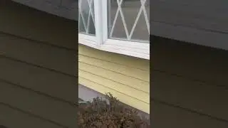 Window Base Trim Repair | Agile Construction