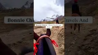 𝐁𝐨𝐧𝐧𝐢𝐞 𝐂𝐡𝐢𝐭𝐫𝐚𝐥 - Haram Travels And Tours