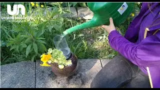 Hoe zorg je voor voldoende water voor je planten?