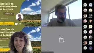 Webinar 