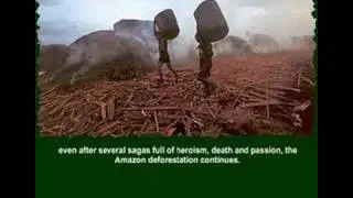 Amazon Rainforest Forever (english version)