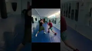#boxingtraining #shorts #бокс  #boxing  #тренировка  #спарринги  #boxingsparring  #boxingpractice