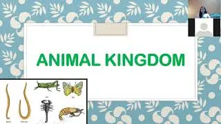 Animal kingdom , Part-1 #basisofclassification #invertebrates #chordates #class11biology