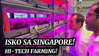 ISKO MORENO SINILIP ANG HI-TECH URBAN FARM NG SINGAPORE | Para sa Food Sufficiency ng Maynila