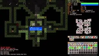 Dungeon Crawl Stone Soup - High Elf Fire Elementalist of Vehumet