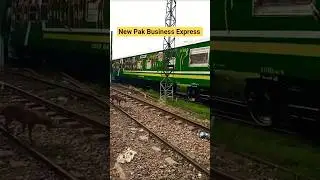 New Pak Business Express #trainzlover #railway #viral #railwaycontent #train #trainjourney #travel