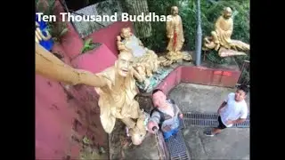 Ten Thousand Buddhas in Sha Tin