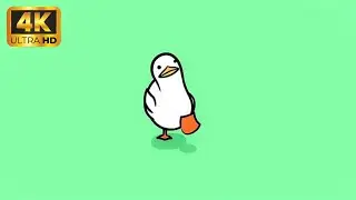 Walking Duck 4k Live Wallpaper | Animated Live Wallpaper🦆