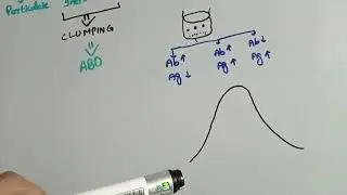antigen antibody reaction in the laboratory part#2 || agglutination || precipitin test