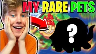 Ranking My *RAREST* Secret Prodigy PETS!!! [RARE]