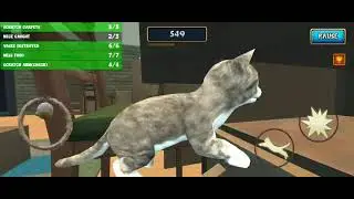 Cat Simulator Kitty Craft (just gameplay)